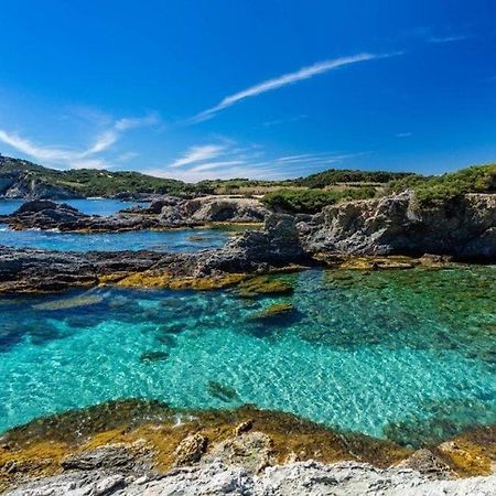 Vacances Ideales Limite Sanary Sur Mer !! Logement Partage Shared Accommodation Олиул Екстериор снимка